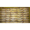 Frozen small yellow croaker(whole round) fish